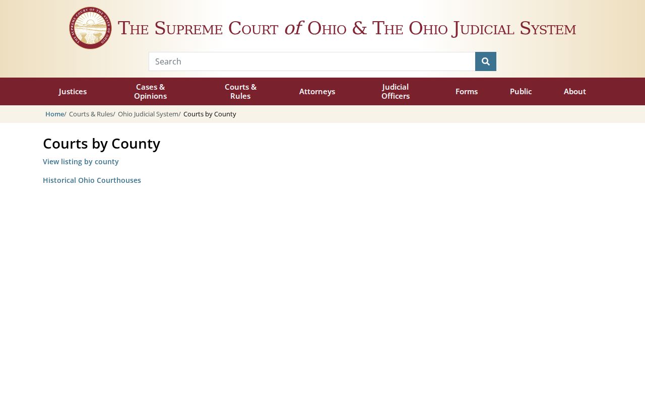 Carroll County court docket Ohio trial court directory source